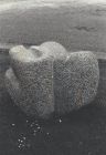 "Mémoire des mers", 1980 - Taille directe, petit granit - Annie Palisot
