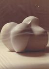 "Eclosion", 1977 - Plâtre, h20 x 31 x 33cm - Annie Palisot.